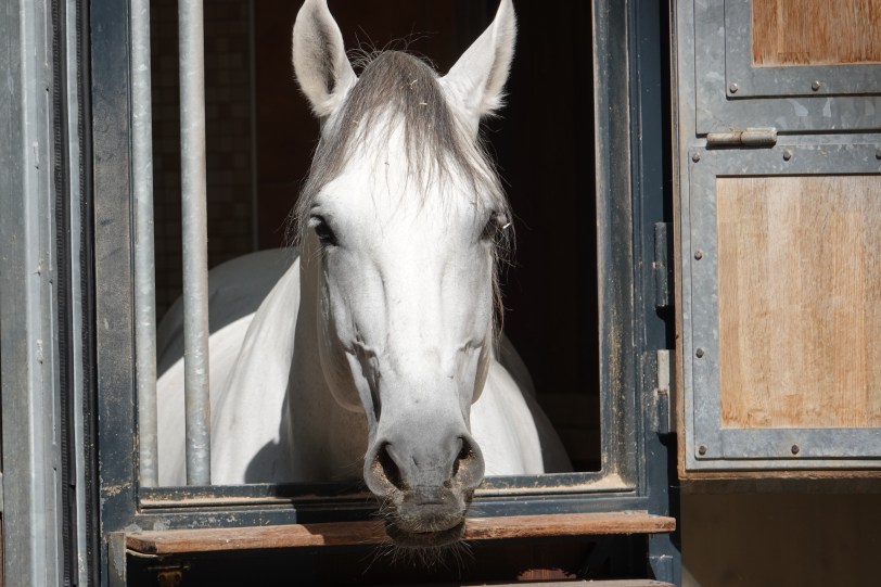 9816D12E-A5B8-4DF5-B21B-CE4CCE3B647C